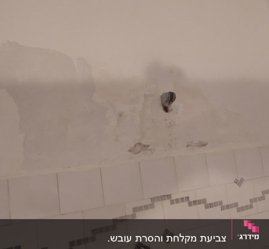 קיר עם טיח מתקלף וחור קטן